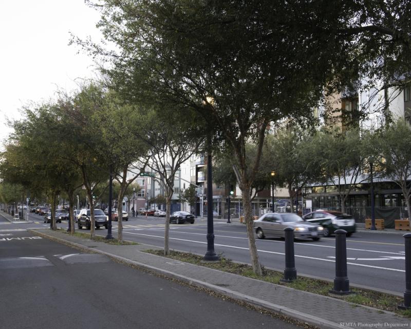 Octavia Boulevard 