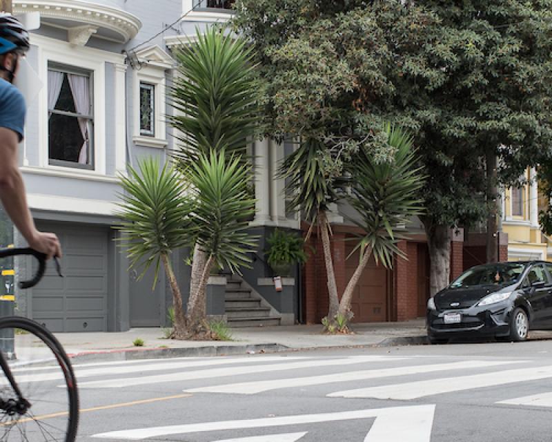 Photo of person biking in Wiggle with ped and dog crossing the street