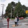 Traffic Calming