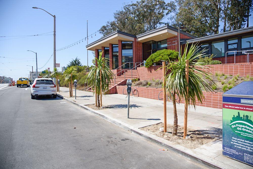 Over 175 new trees were planted along Taraval as part of the project, including these trees by a public library on the corridor. Over 175 new trees were planted along Taraval as part of the project, including these trees by a public library on the corridor.